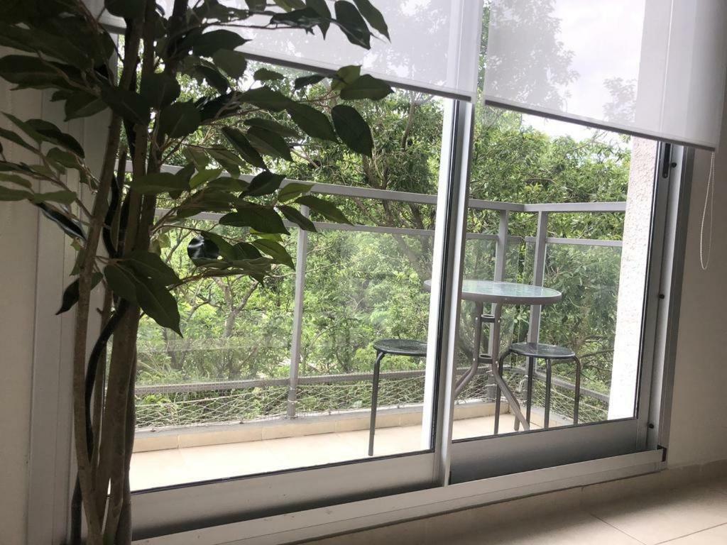 Departamento . Ubicacion Ideal Cerca Del Centro Y La Naturaleza Apartment *